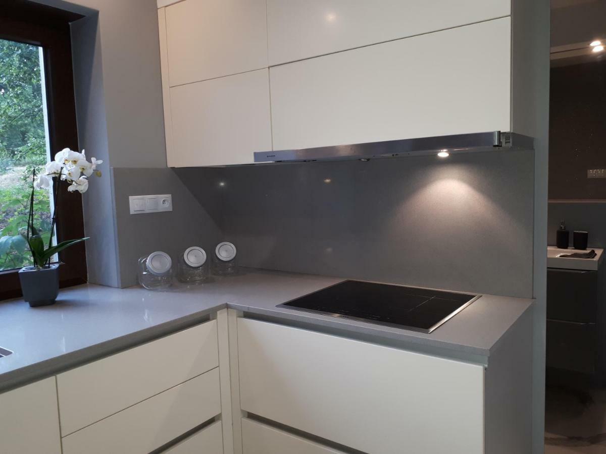 Apartamenty Centrum- Kochanowskiego -Dawniej Two-Bedroom Apartment Zielona Góra Eksteriør billede